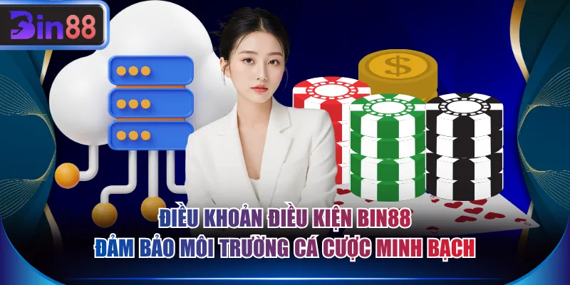Điều khoản điều kiện BIN88 đảm bảo môi trường cá cược minh bạch