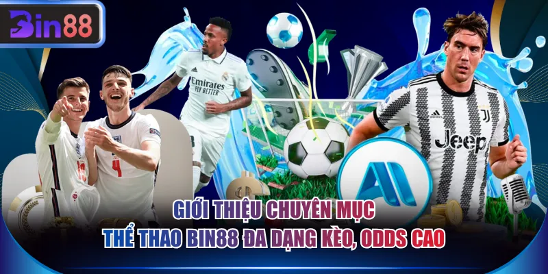 Giới thiệu chuyên mục thể thao BIN88 đa dạng kèo, odds cao