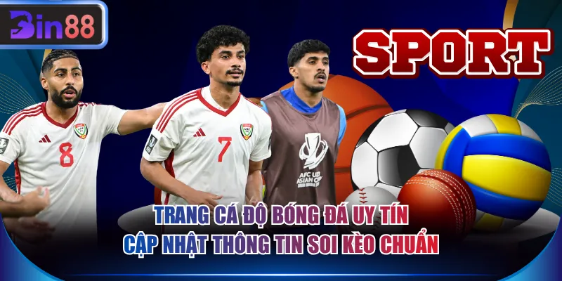 Trang cá độ bóng đá uy tín cập nhật thông tin soi kèo chuẩn