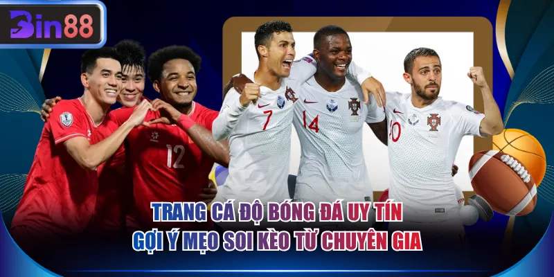 Trang cá độ bóng đá uy tín gợi ý mẹo soi kèo từ chuyên gia